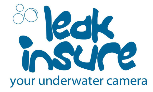 Leak Insure Logo